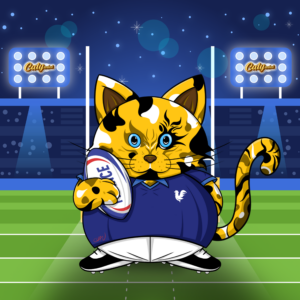 Cat Rugby France